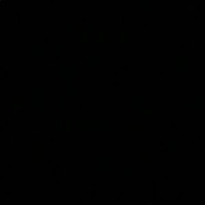 Meet your Posher, Madeline